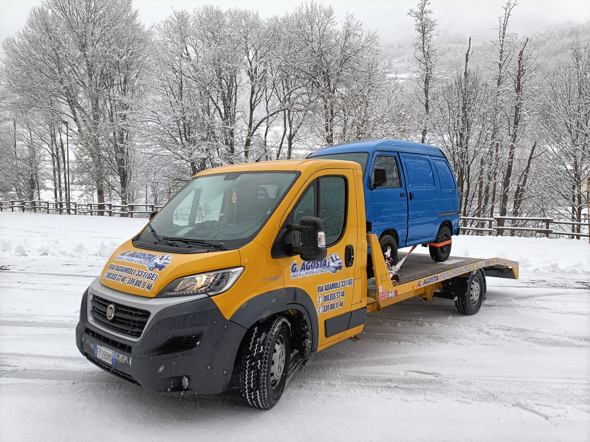 Il tuo Porter sulla neve